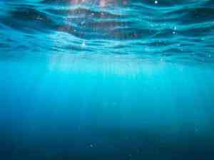 حماية الأنيونات في Nb-WO3/WS2 لتحليل المياه البحرية