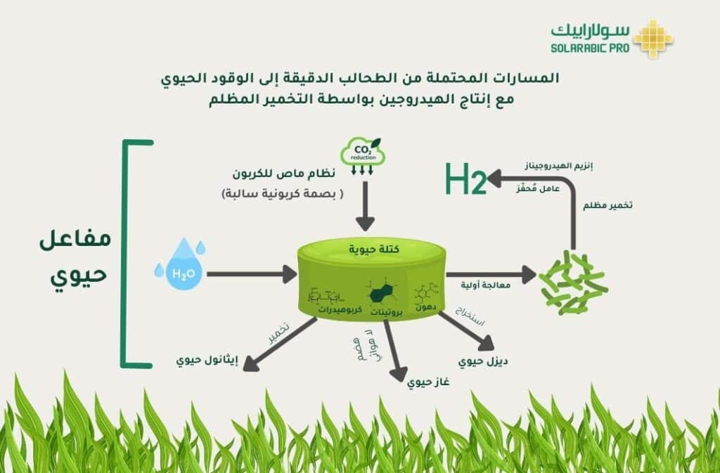 التحلل الضوئي لكلوثينيد باستخدام NiO-GO الأخضر