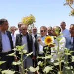 بوابة الاستثمار الإنتاجي في البحر الأحمر