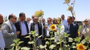بوابة الاستثمار الإنتاجي في البحر الأحمر