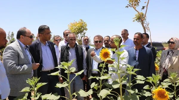بوابة الاستثمار الإنتاجي في البحر الأحمر