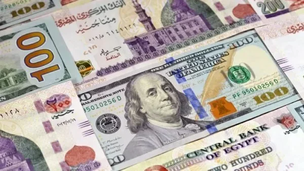 أسعار العملات في مصر بتاريخ 14 مايو 2026