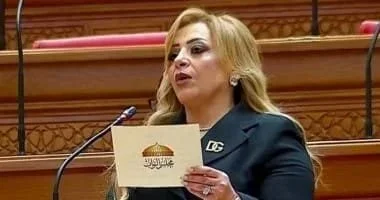 أهمية تطوير منظومة الدعم في مصر