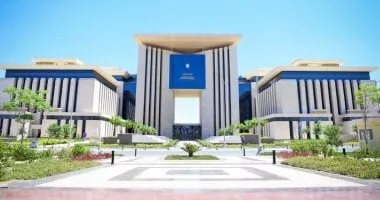 رفع سقف حساب الشمول المالي للمصريين بالخارج