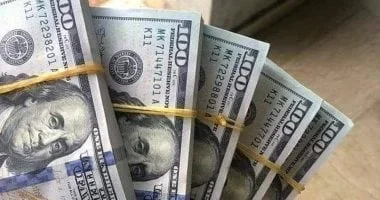 استقرار سعر الدولار مقابل الجنيه المصري
