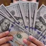 استقرار سعر الدولار في السوق المصرية اليوم
