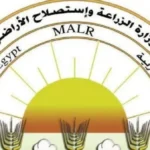 البيض المعلب لتعزيز الأمن الغذائي وضبط الأسعار