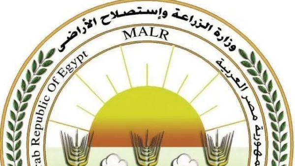 البيض المعلب لتعزيز الأمن الغذائي وضبط الأسعار