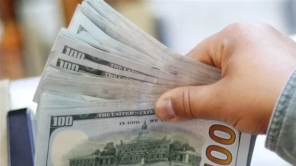 استقرار الدولار أمام الجنيه المصري 20 يونيو 2026