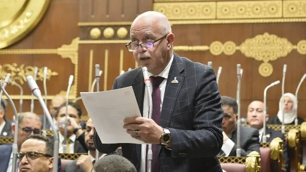 إنشاء صناديق استثمارية جديدة لتعزيز الصناعة المصرية