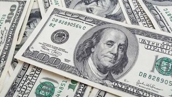 استقرار سعر الدولار مقابل الجنيه مساء اليوم