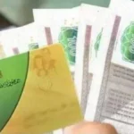 تأثير الدعم النقدي على الخبز والسلع التموينية في مصر