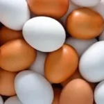 وزارة التموين تطرح البيض بسعر 85 جنيها للطبق