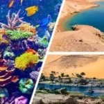 خطوات لتحويل شرم الشيخ إلى عاصمة للاستثمار البيئي