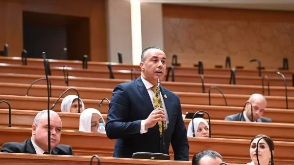 تنويع الإيرادات لتعزيز التنمية المستدامة