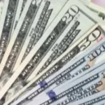 استقرار سعر الدولار أمام الجنيه المصري
