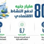 80 مليار جنيه لدعم القطاع الخاص في الموازنة الجديدة