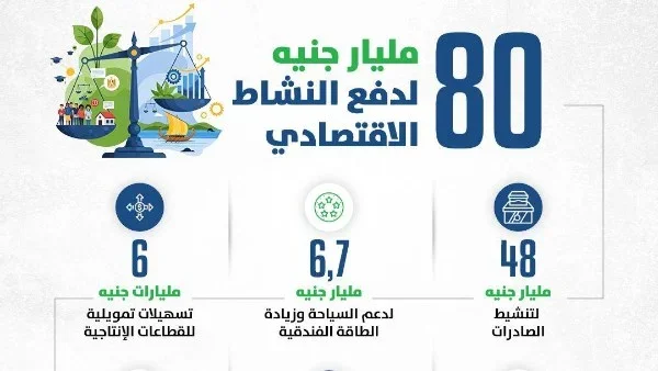 80 مليار جنيه لدعم القطاع الخاص في الموازنة الجديدة