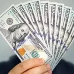 استقرار سعر الدولار أمام الجنيه المصري