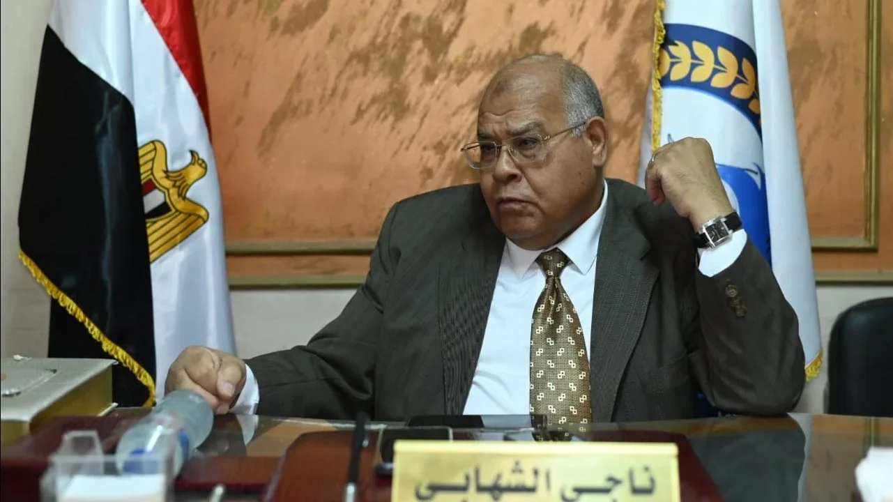 الشهابي يحذر من عجز المجالس التصديرية في مصر
