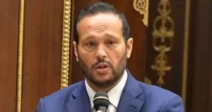 حلاوة يدعو لدعم الاستثمار في البتروكيماويات