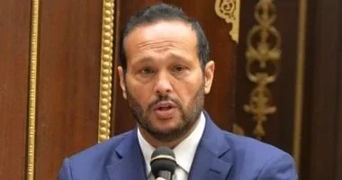 حلاوة يدعو لدعم الاستثمار في البتروكيماويات