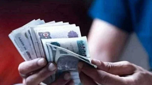 كيفية شراء الشهادات البنكية في مصر
