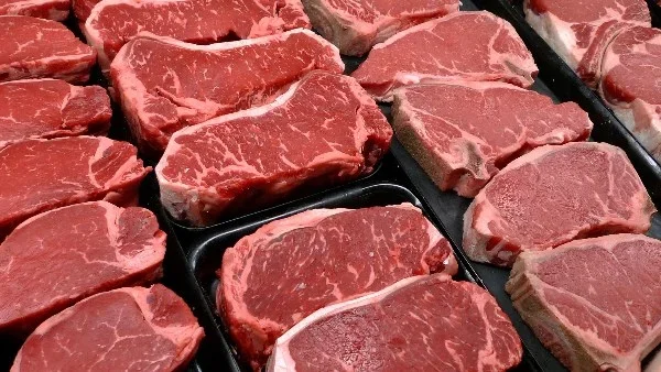 التوسع في محطات الثروة الحيوانية يعزز الأمن الغذائي