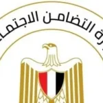 موارد صندوق الضمان الاجتماعي في مصر