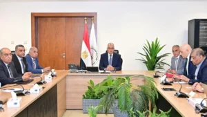 الشراكة بين القطاعين العام والخاص في مصر