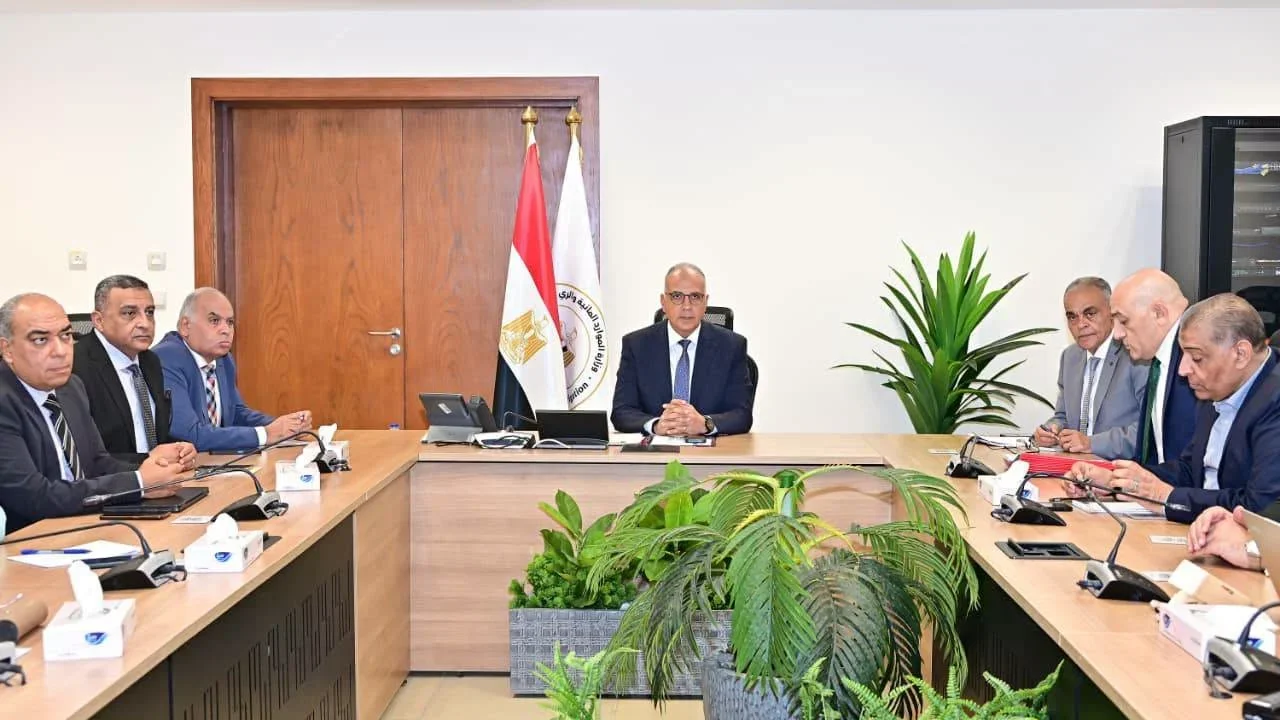 الشراكة بين القطاعين العام والخاص في مصر