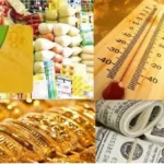 معايير حذف غير المستحقين من بطاقات التموين