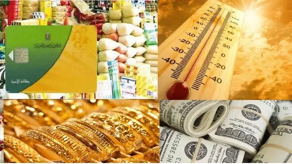 معايير حذف غير المستحقين من بطاقات التموين