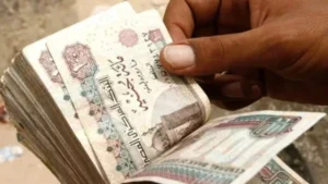 دعم الدولة لأصحاب المعاشات: 288 مليار جنيه سنويًا