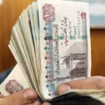 تخصيص 100 مليار جنيه لزيادة الأجور في الموازنة الجديدة