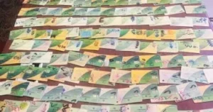التحول من الدعم العيني إلى النقدي في التموين