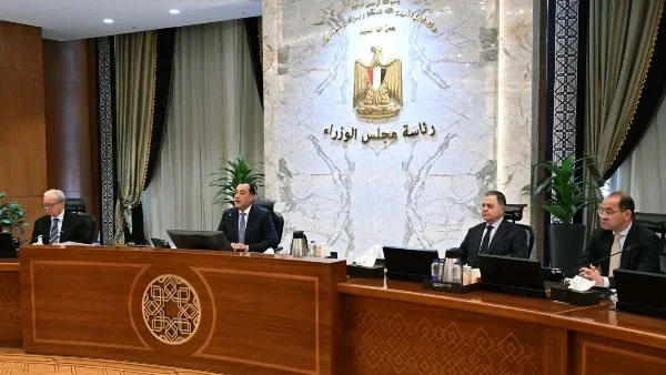 إنجازات اقتصادية تاريخية بمصر في توريد القمح