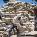 استقرار سعر الأسمنت في السوق المصري
