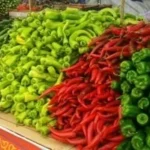 أسعار الخضار والفواكه اليوم 25 يونيو 2026
