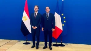 تعزيز التعاون الضريبي بين مصر وفرنسا
