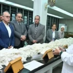تطوير كفاءة منظومة القطن المصري