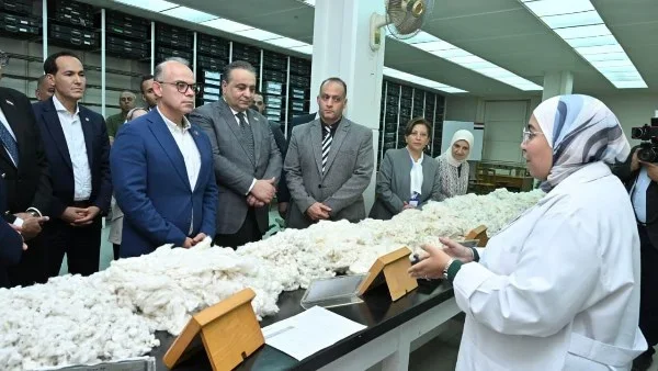 تطوير كفاءة منظومة القطن المصري