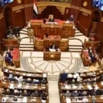زيادة المعاشات تأكيد على دعم القيادة السياسية للمواطنين