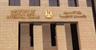 التحول الرقمي في منظومة التموين وتأثيره على الخدمات