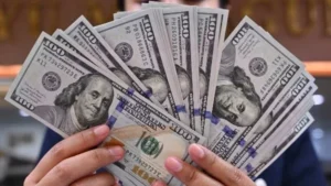استقرار سعر الدولار مقابل الجنيه في مصر