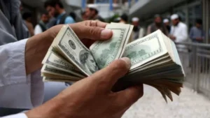 استقرار أسعار الدولار في السوق المصري اليوم
