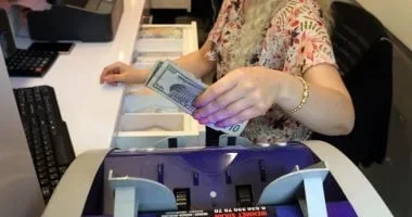 استقرار سعر الدولار أمام الجنيه المصري