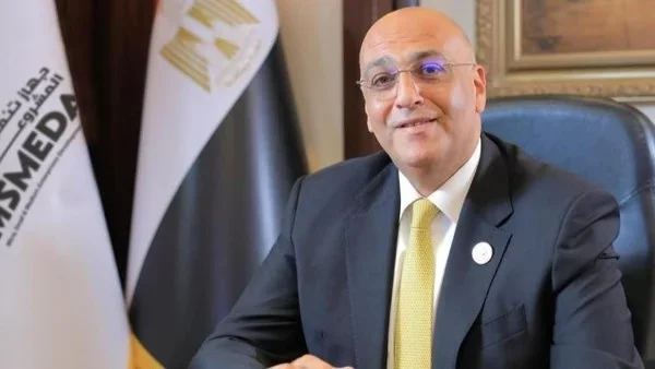 المشروعات الصغيرة والمتوسطة تسهم في تطوير الاقتصاد المصري