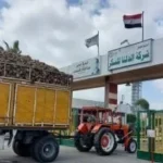 ملاحظات مالية خطيرة على شركة الدلتا للسكر