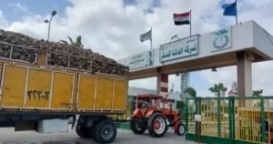 ملاحظات مالية خطيرة على شركة الدلتا للسكر